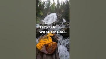 This Is Your 10-Second Wake-Up Call 🌿 #natureshorts #stopscrolling #wakeupcall