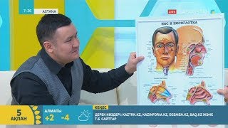 Медицина: Гайморит