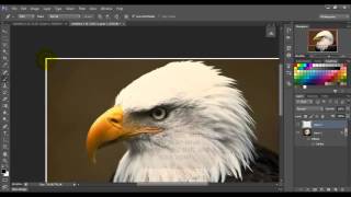 Photoshop CS6 - Dotted Border - Tutorial