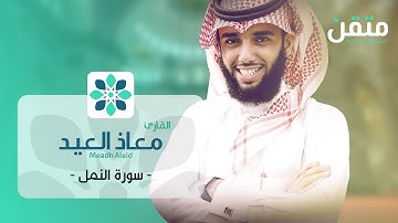 معاذ العيد - سورة النمل | Meadh Aleid - An-Naml