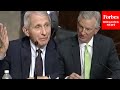 'Are You Communicating With Them?': Tuberville Grills Fauci Over Current Research In China