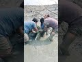 New video