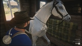 41 Pferdefleisch zum Abendbrot (John) [Red Dead Redemption 2] screenshot 2