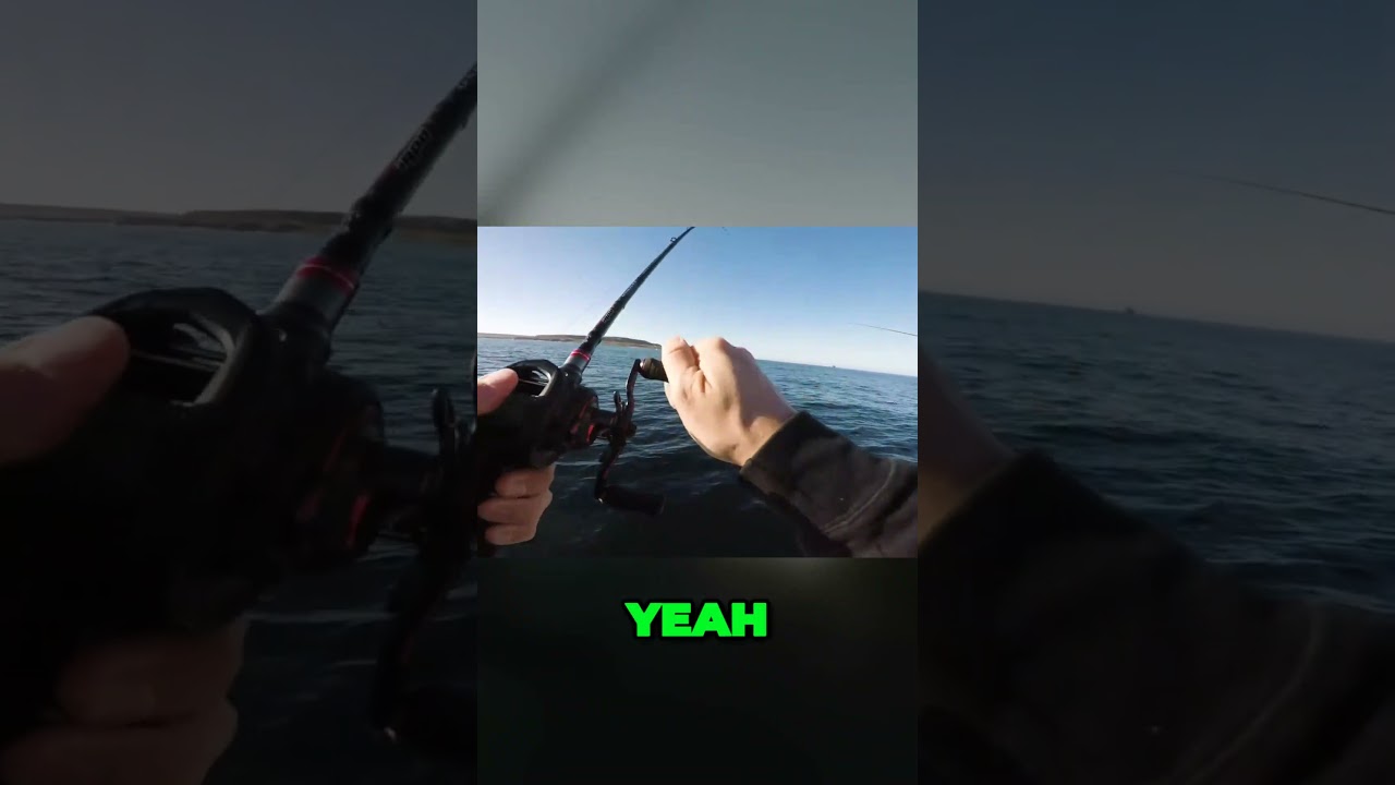 The Hunt For Monster Fish at San Clemente Island!