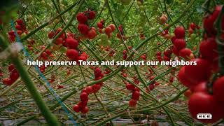 HEB| Proud to support our Texas neighbors