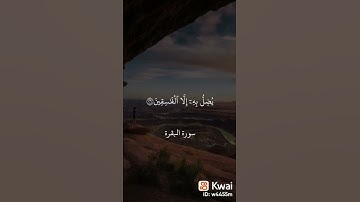 قرآن كريم . استمع لنصف دقيقة اجر لى ولك 🤍