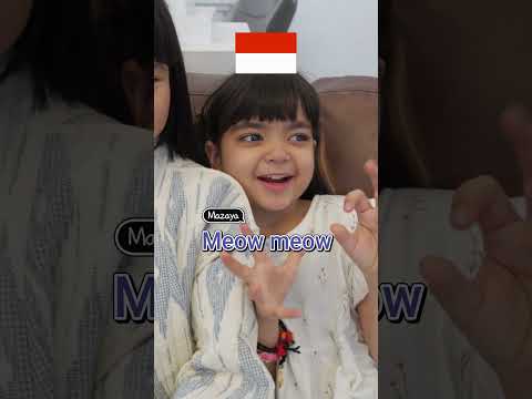 Suara hewan di Indonesia VS di Korea versi Yunji dan @mazayaamania 🇮🇩🇰🇷