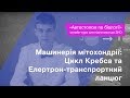 Цикл Кребса та Елертрон-транспрортний ланцюг – Підготовка до ЗНО – Біологія