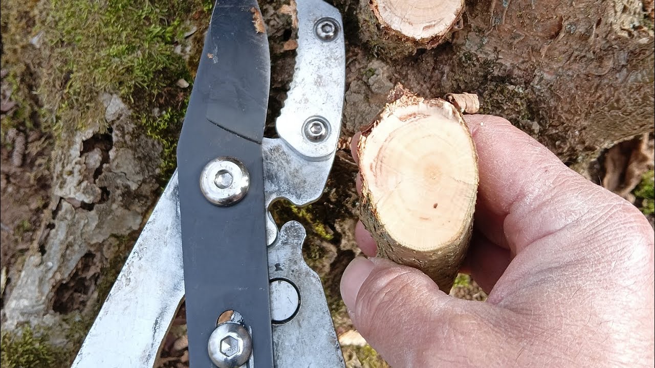 TRONCARAMI.... GRANDISSIMO.... POTENTISSIMO .....GRAZIE AL SUO GIOCO DI LEVE 👌🌿