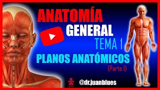 TEMA 1: POSICIÓN ANATÓMICA // PLANOS ANATÓMICOS // TÉRMINOS DE POSICIÓN #Anatomía