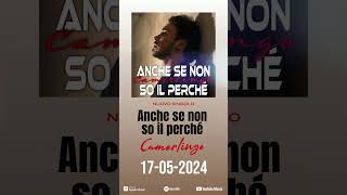 Anche se non so il perché - Antonio Camerlingo FUORI il 17 Maggio su tutti i digital store #shorts