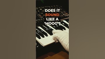 MOOG Messenger sounds like a proper ’moog’?