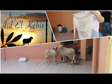 [Vlog Maroc 11]  Aïd el Adha en famille à Oujda- Organisation, recette et routine ménage