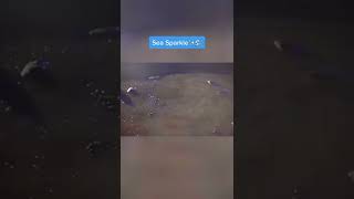 Things You Didnt Know Existed