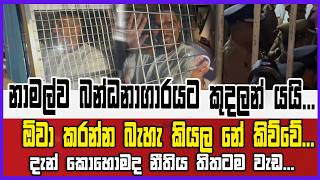 නාමල්ව රිමාන්ඩ් එකට කුදලන් යයි...ඕවා කරන්න බහ කියල නේ කිව්වේ...දැන් කොහොමද නීතිය තිතටම වැඩ...