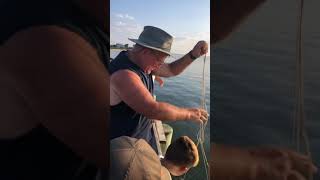Caught a turtle in a crab trap on 7/30/21 in Lbi Information