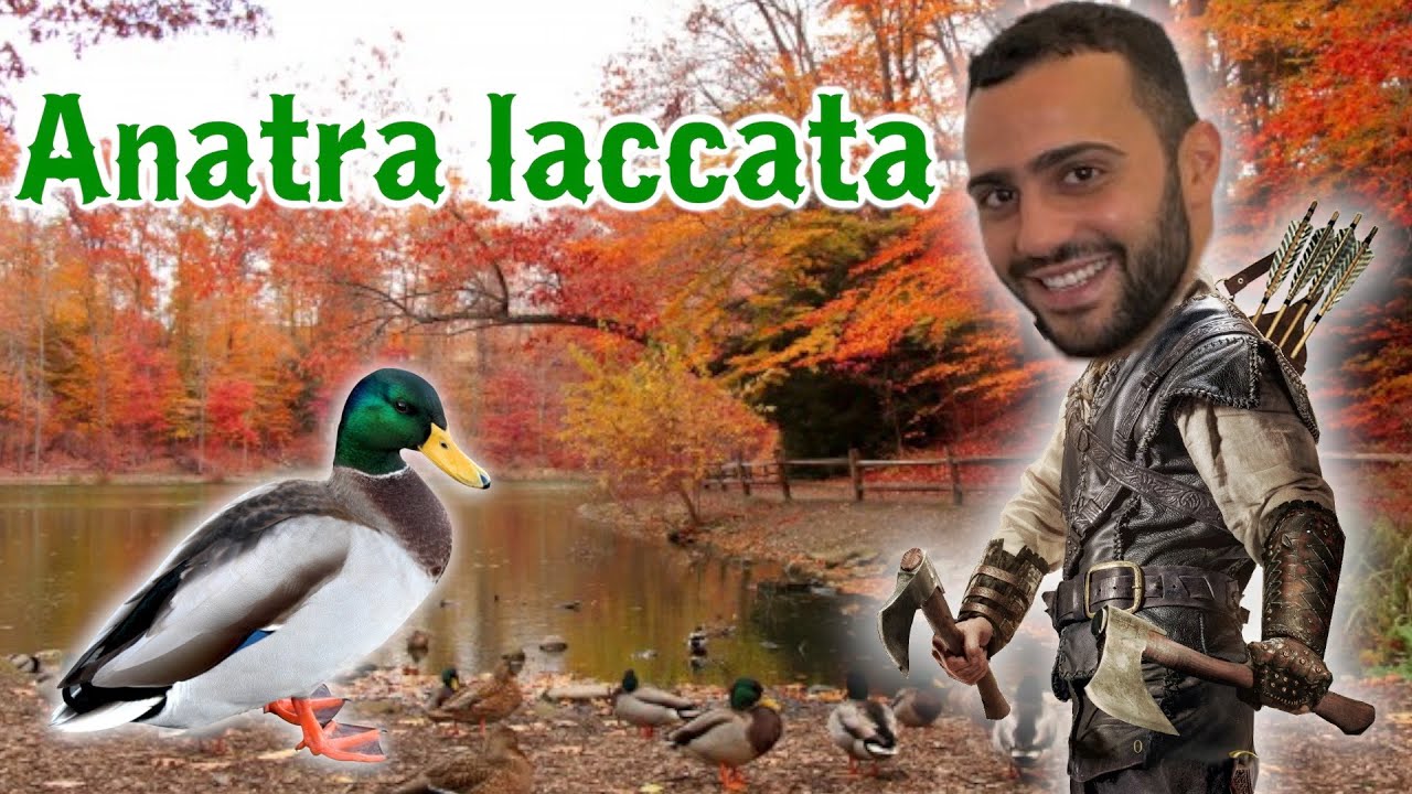 Anatra Laccata con Miele, Arance e Soia