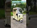 Bubushine trike, carry smiles.