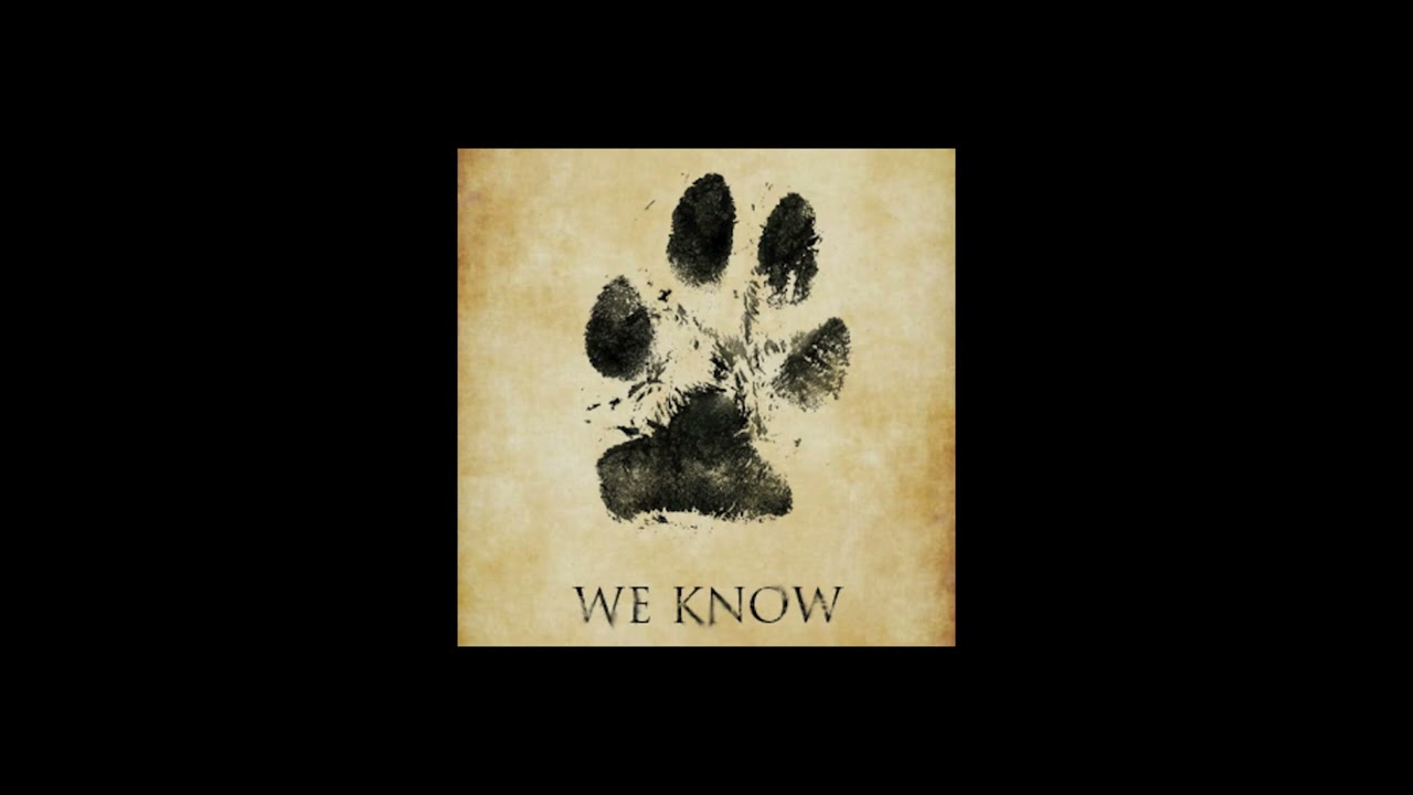 Black Paw Leaks - Severance's dog obsession