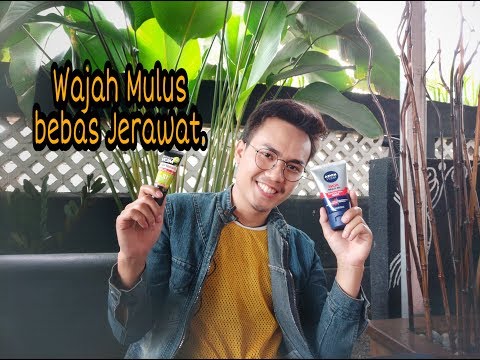 Manfaat Dan Efek Samping Obat Vitacid. 