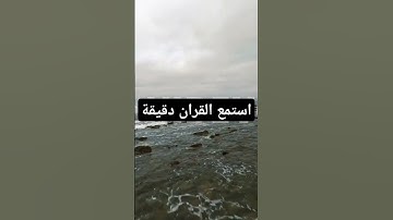 القرآن الكريم #ناصر_القطامي #فارس_عباد #أجمل_التلاوات #رعد_الكردي #محمود_خليل_الحصري #سعود_الشريم