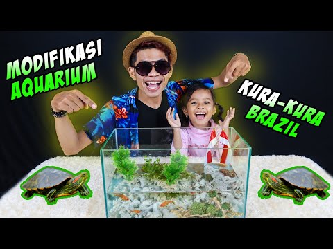 wow!!-kita-modifikasi-aquarium-kura-kura-brazil-di-rumah!!!