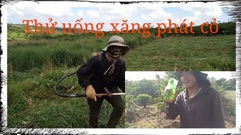 Hạnh trình phát cỏ anh em người Êđê. ( tại vùng Tây Nguyên )