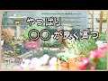 春の花数を増やしたい！植物を元気に育てたい！