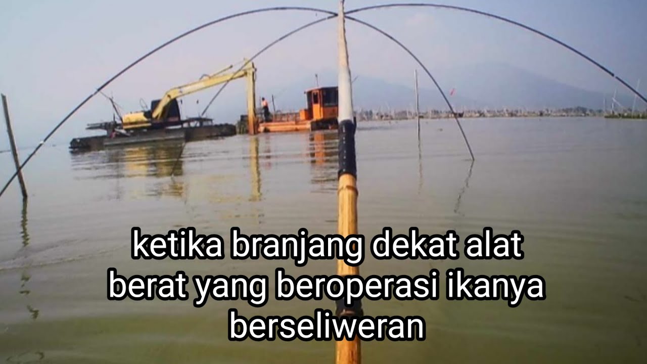 🔴branjang lagi disaat alat berat beroperasi ikanya berseliweran||branjanganco Eps57