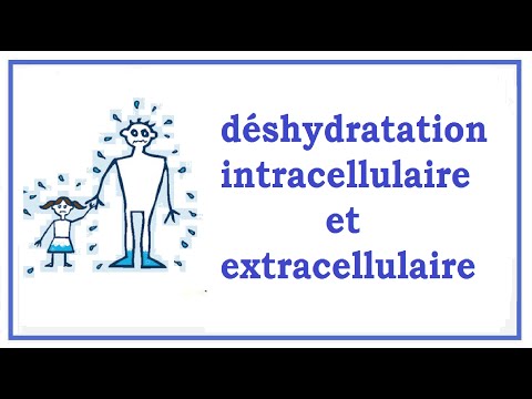 Vidéo: Qu'est-ce qui cause le mouvement intracellulaire?