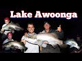 Lake Awoonga EPIC Barramundi | Summer 2019 | ft. Callum Munro former Australian Fishing Champion.