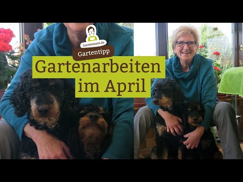 Video: Wichtige Dinge Im Garten Im April