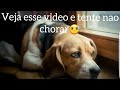 Veja esse video e tente nao chorar