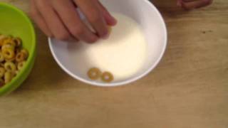 MVI_0509.MOV