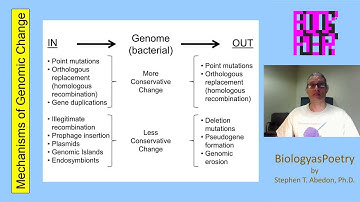Mechanisms of Genomic Change