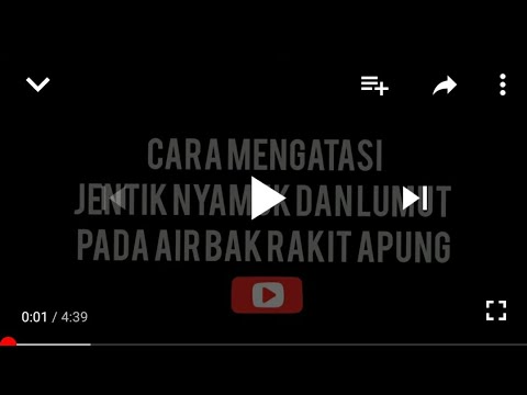 Cara Mengatasi Jentik Nyamuk Pada Rakit Apung Youtube Cara Mengatasi Jentik Nyamuk Pada Rakit Apung Youtube