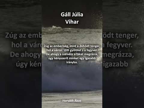 Gáll Júlia Vihar  #nekedbelegyen #horváthákos #lélek #ajánlott #felfedezés #kortársvers #vers