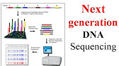 Next Generation Sequencing Animation - YouTube