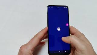 Motorola Moto G31
