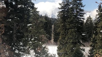 Altitude By  Dave Brinker