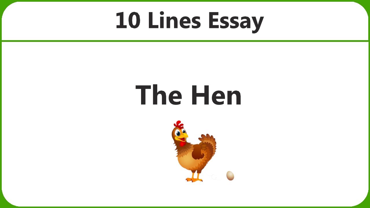 essay on my pet hen