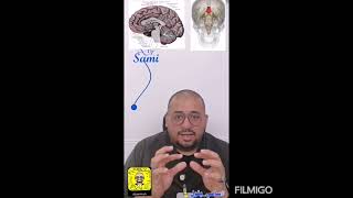 متلازمة اليد الغريبة( Alien  hand syndrome ) مع #سامي_يقول