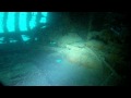 Epave wreck  petit  little stdo marseille 60m de fond 180 feet depth 