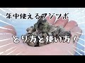 これでチヌが年中釣れる！フジツボの簡単なとり方と使い方！【黒鯛】【落とし込み】