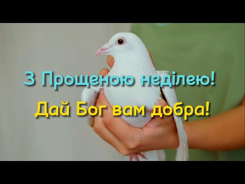 КРАСИВЕ ПРИВІТАННЯ З ПРОЩЕНОЮ НЕДІЛЕЮ (НОВИНКА 2024)
