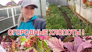 ВЕСЬ ДЕНЬ в ОГОРОДЕ🌱 😅