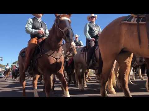 Video: Parada del Sol Parade v Scottsdale Arizona