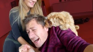 Alfie beißt mich! 😰 - Ein Tag mit Alfie!