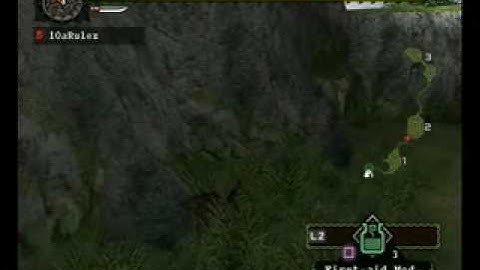 Monster Hunter PS2 mit Cheat Engine gehackt part 2