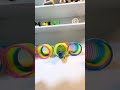 Bird Training:smart lovebird parrot l smart little cute parrot #training#smartparrot#cute